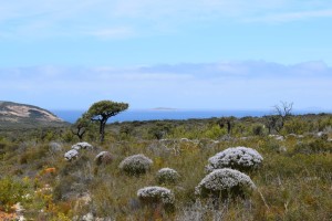 Cape Le Grand NP, near Esperance, Western Australia